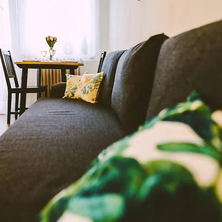 Cozy Studio For Families+ultra Clean+netflix קלוז'-נאפוקה